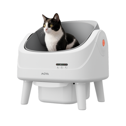 MOVA MeowgicPod LB10 Air