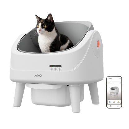 MOVA MeowgicPod LB10 Air