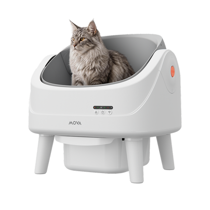 MOVA MeowgicPod LB10 Air