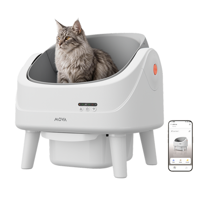 MOVA MeowgicPod LB10 Air